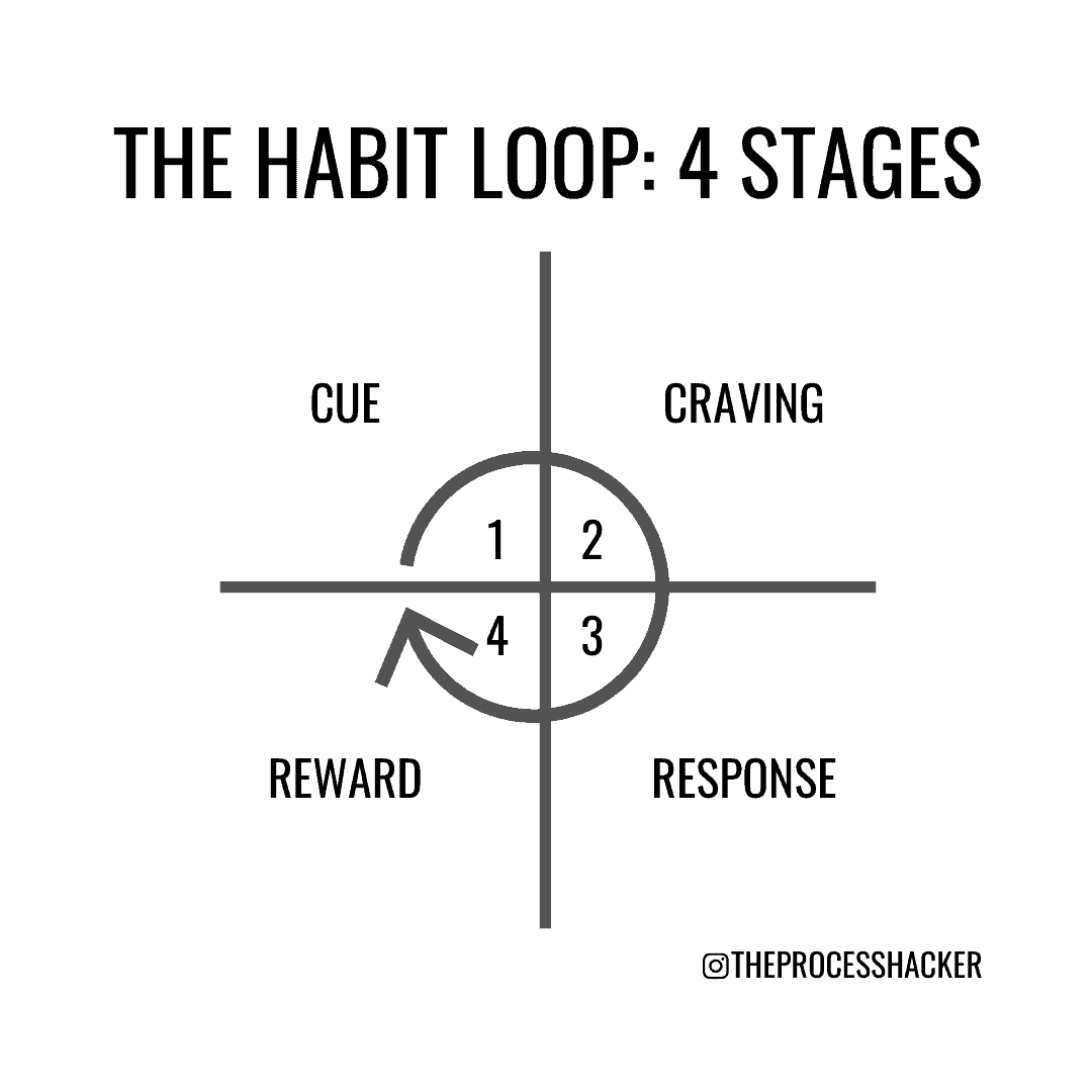 four stages of the atomic habits loop