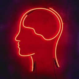 SmarterEveryDay channel logo