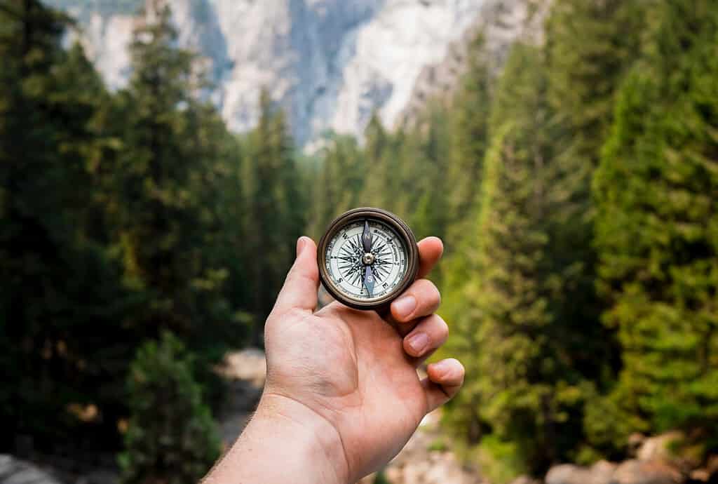 find direction with your compass of purpose