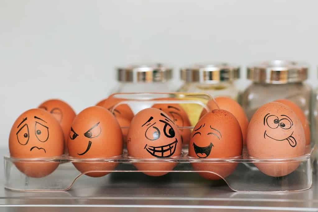 emotions portrayed on eggs